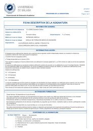 FICHA DESCRIPTIVA DE LA ASIGNATURA