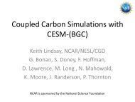 Coupled Carbon Simulations with CESM-(BGC)