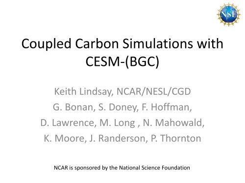 Coupled Carbon Simulations with CESM-(BGC)