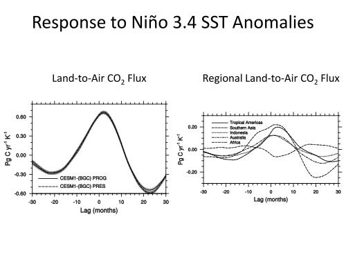 Coupled Carbon Simulations with CESM-(BGC)