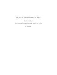Gab es eine Vergletscherung der Alpen? - Norbert Südland