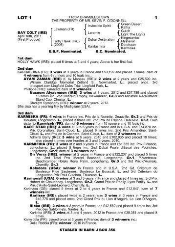 Pdf Catalogue - Tattersalls (Ireland)