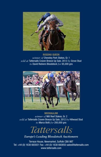 Tattersalls Craven Breeze Up Sale