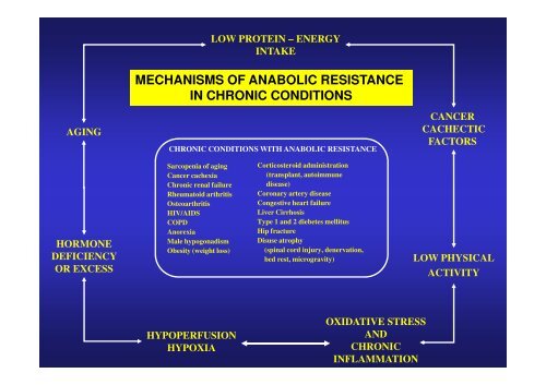 Anabolic resistance: a road map to malnutrition