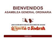 informe consejo directivo - Simmentalsimbrah.com.mx