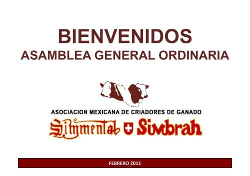 informe consejo directivo - Simmentalsimbrah.com.mx