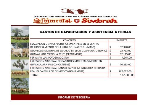 informe consejo directivo - Simmentalsimbrah.com.mx