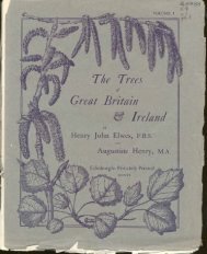 the trees of great britain & ireland - Facsimile Books & other digitally ...