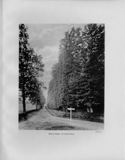 the trees of great britain & ireland - Facsimile Books & other digitally ...