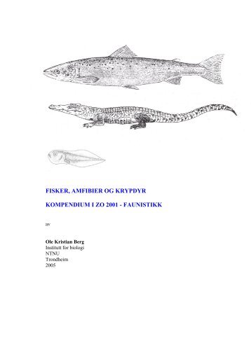 fisker, amfibier og krypdyr kompendium i zo 2001 - Institutt for biologi ...