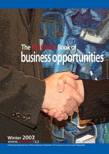 Business Opportunities Book 2007 - Ministry of Foreign Affairs of the ...