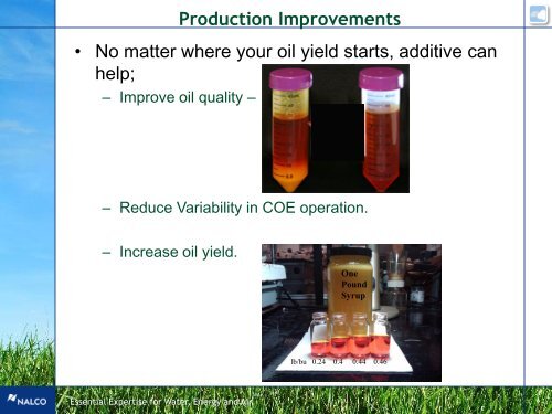 Corn Oil Extraction Optimization - Nalco