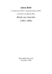 Briefe aus Amerika (1865 - 1906) - Amerikanetz