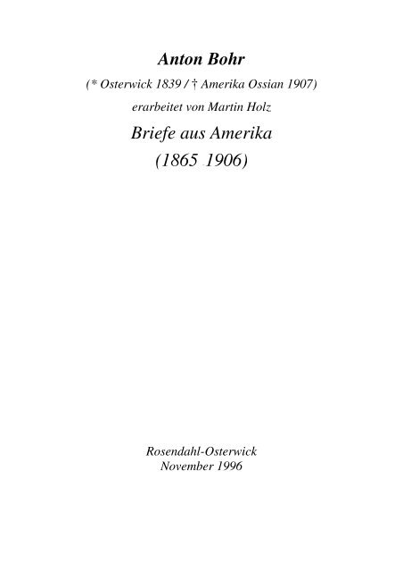 Briefe aus Amerika (1865 - 1906) - Amerikanetz