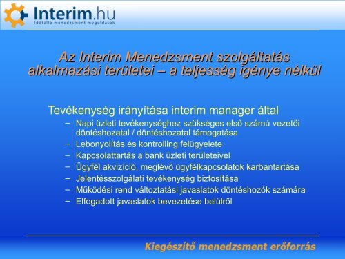 Interim Menedzsment