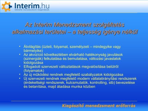 Interim Menedzsment