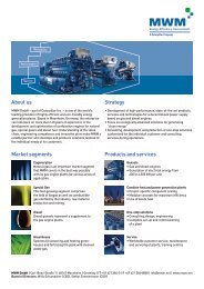 Products and services Market segments About us Strategy - MWM