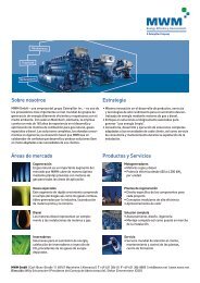 Productos y Servicios Ãreas de mercado Estrategia Sobre ... - MWM