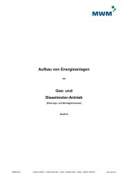 Aufbau von Energieanlagen (PDF) - MWM