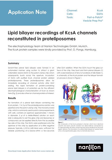 Lipid bilayer recordings of KcsA channels reconstituted in - Nanion ...