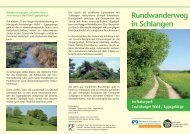 Rundwanderweg in Schlangen im Naturpark Teutoburger Wald ...