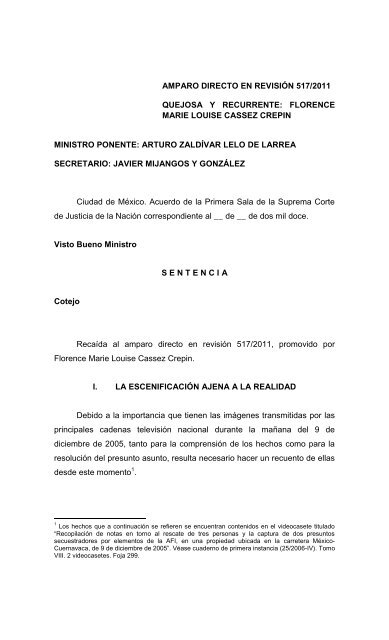 Sentencia amparo en revisi n 517 2011