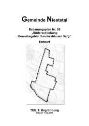 PDF (1 MB) - Gemeinde Niestetal