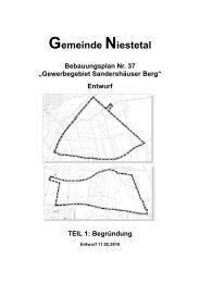 PDF (2 MB) - Gemeinde Niestetal