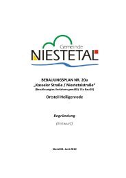 PDF (2 MB) - Gemeinde Niestetal