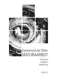 MATURAARBEIT - Kantonsschule Olten