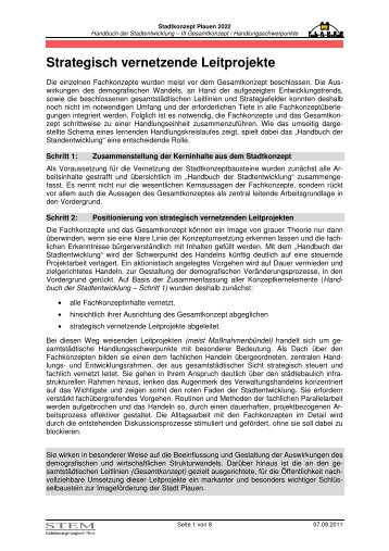 Strategisch vernetzende Leitprojekte (*.pdf, 464 KB) - Plauen