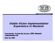 Viable Vision implementation Experience in Neuland