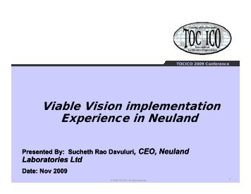 Viable Vision implementation Experience in Neuland