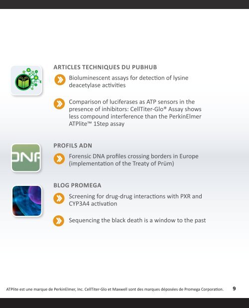 Enzymes de restriction - Promega