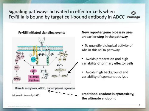 Development of a Bioluminescent Cell-Based Assay to ... - Promega