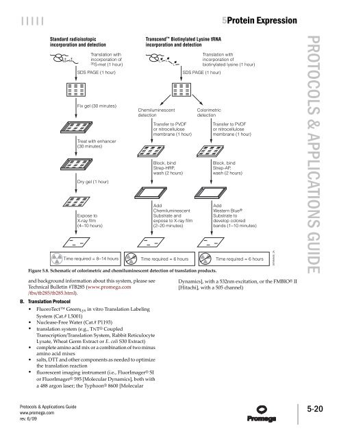 Protocols and Applications Guide (US Letter Size) - Promega