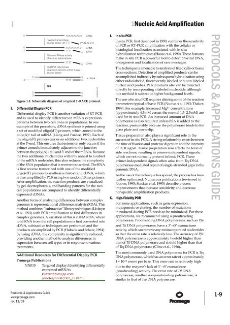 Protocols and Applications Guide (US Letter Size) - Promega