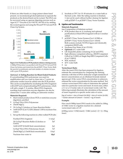 Protocols and Applications Guide (US Letter Size) - Promega