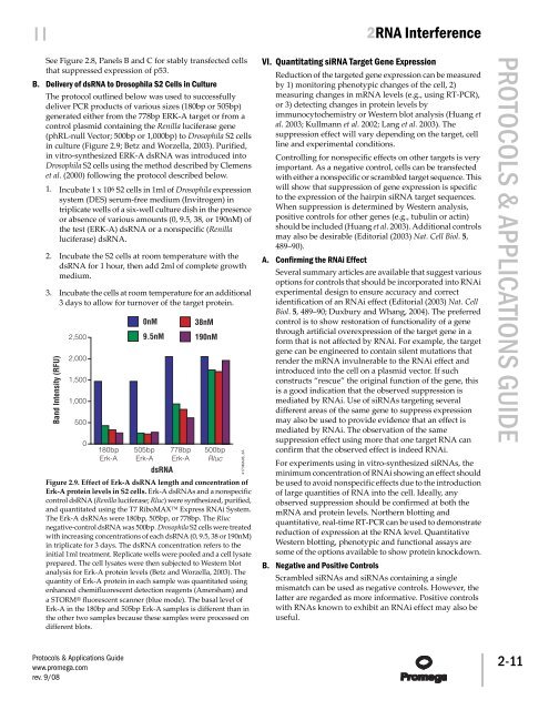 Protocols and Applications Guide (US Letter Size) - Promega