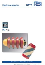 PSI Pigs - PSI Products GmbH