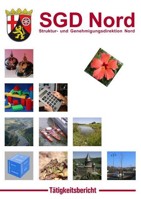 SGD Nord - Struktur- und Genehmigungsdirektion Nord - in ...