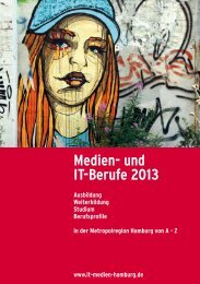 Medien- und IT-Berufe 2013