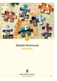 Ausgabe 2010 - Stadt Sinsheim