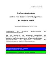 Straßenzustandskatalog für Orts- und Gemeindeverbindungsstraßen ...