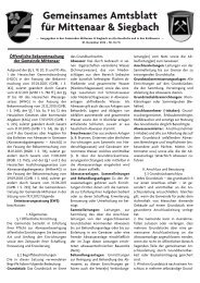 Amtsblatt 01.12.12