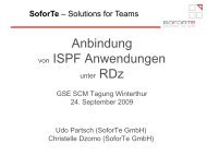 PDF-Dokument - SoforTe -- Solutions for Teams