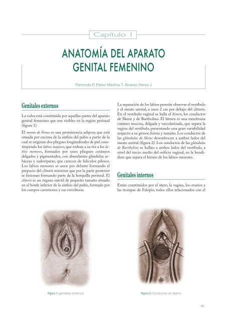 1-Anatomia_del_aparto_genital_femenino