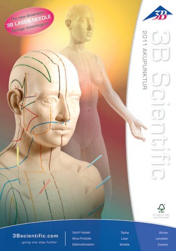3B Scientific Akupunktur Katalog