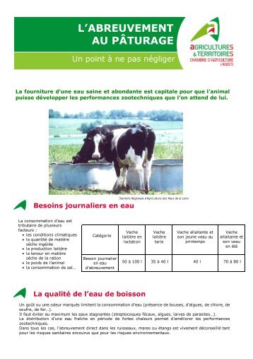 abreuvement au pâturage - Chambre d'Agriculture