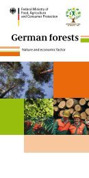 German forests - Nature and economic factor - BMELV